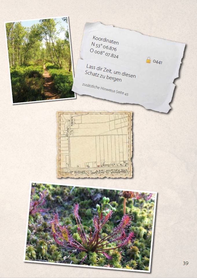 Collage mit Aufnahemn von Pflanzen, einer Karte mit eingezeichneten Katastern und Koordinaten, © S. 39 Broschüre GeoTour Klimaschätze in Oldenburg/Stadt Oldenburg