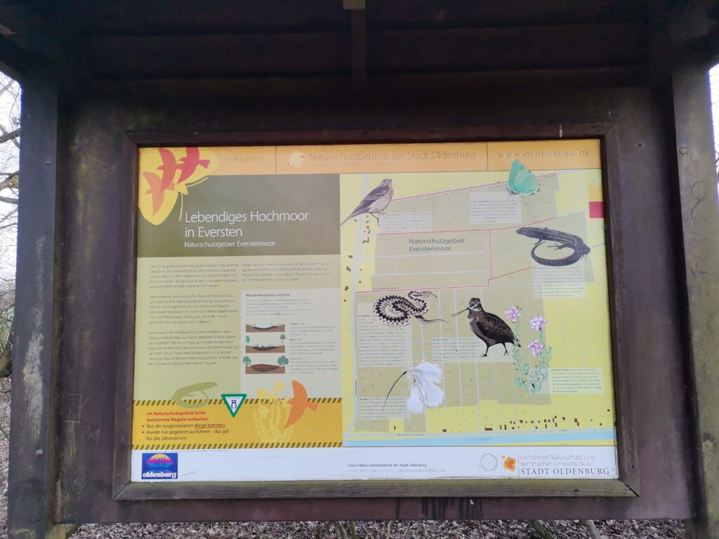 Infotafel mit Holzrahmen, darauf Text und Abbildungen von Tieren und Pflanzen, © Privat/Stadtmuseum Oldenburg