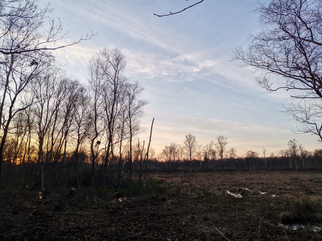 Sonnenuntergang bei blauem Himmel, Bäume ohne Blätter und ein weites Feld, © Privat/Stadtmuseum