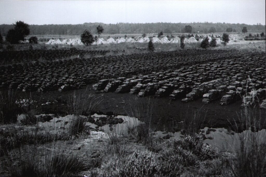 Weites Feld mit gestapelten rechteckigen Torfstücken in Stapeln, © Stadtmuseum Oldenburg/Slg. G. Müller