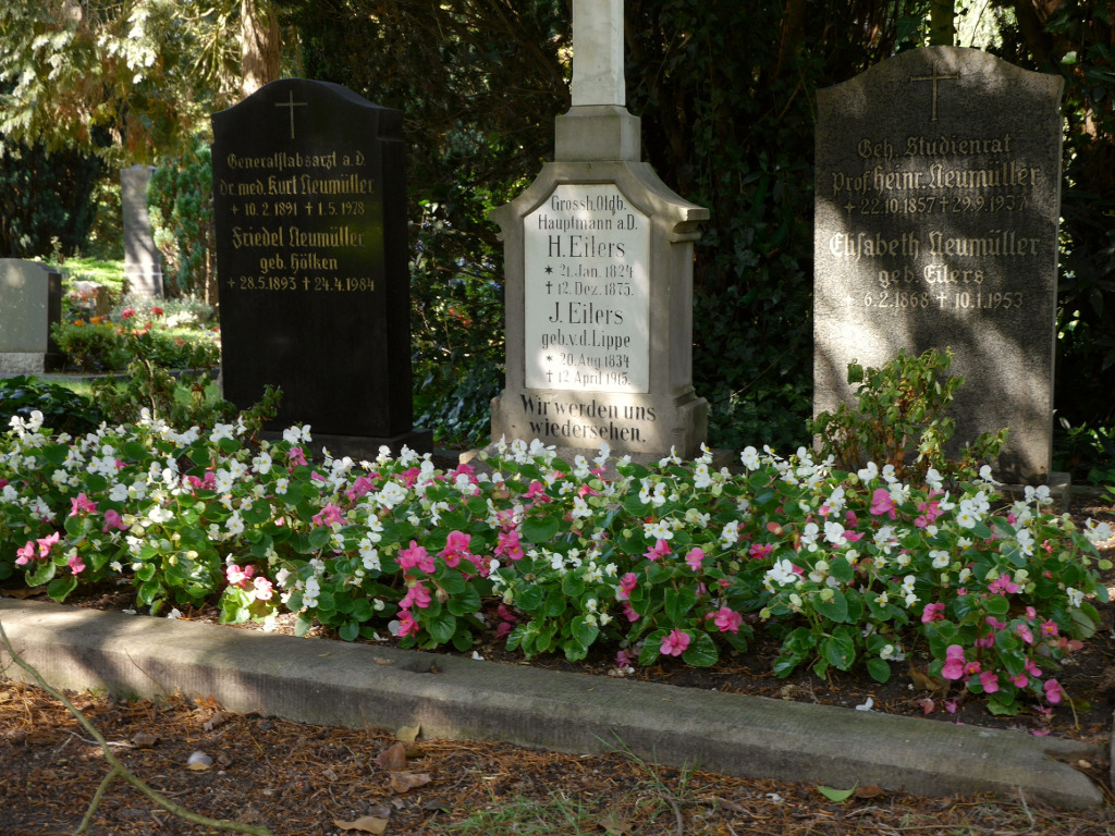Eisbegonien blühen auf den Gräbern, 2025, © Stadtmuseum Oldenburg/Marisa Komsthöft Eisbegonien blühen auf den Gräbern, 2025, © Stadtmuseum Oldenburg/Marisa Komsthöft