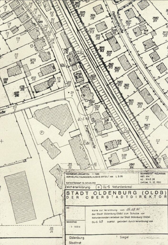 Seit 1991 ist die Rotbuche als schützenswertes Naturdenkmal verzeichnet, 1991, © Katasteramt Oldenburg Planzeichnung der Ziegelhofstraße mit eingezeichneten Gebäuden, Straßen, Parkplätzen und Maßen, © Katasteramt Oldenburg