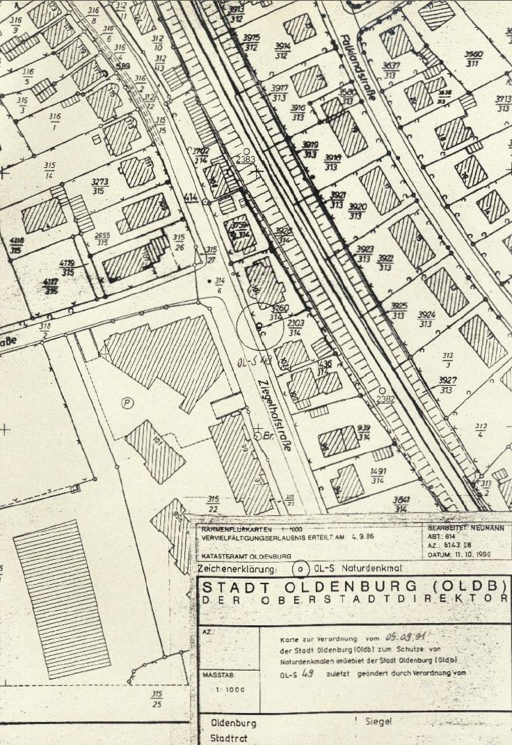 Seit 1991 ist die Rotbuche als schützenswertes Naturdenkmal verzeichnet, 1991, © Katasteramt Oldenburg Planzeichnung der Ziegelhofstraße mit eingezeichneten Gebäuden, Straßen, Parkplätzen und Maßen, © Katasteramt Oldenburg