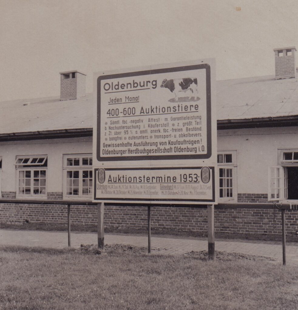 Abb. 5 BA 25883 Günter Nordhausen Wunderburgstr Olderburger Herdbuch Auktionstermine 1953 Auktionstafel der Oldenburger Herdbuchgesellschaft an der Wunderburgstraße im Jahr 1953.