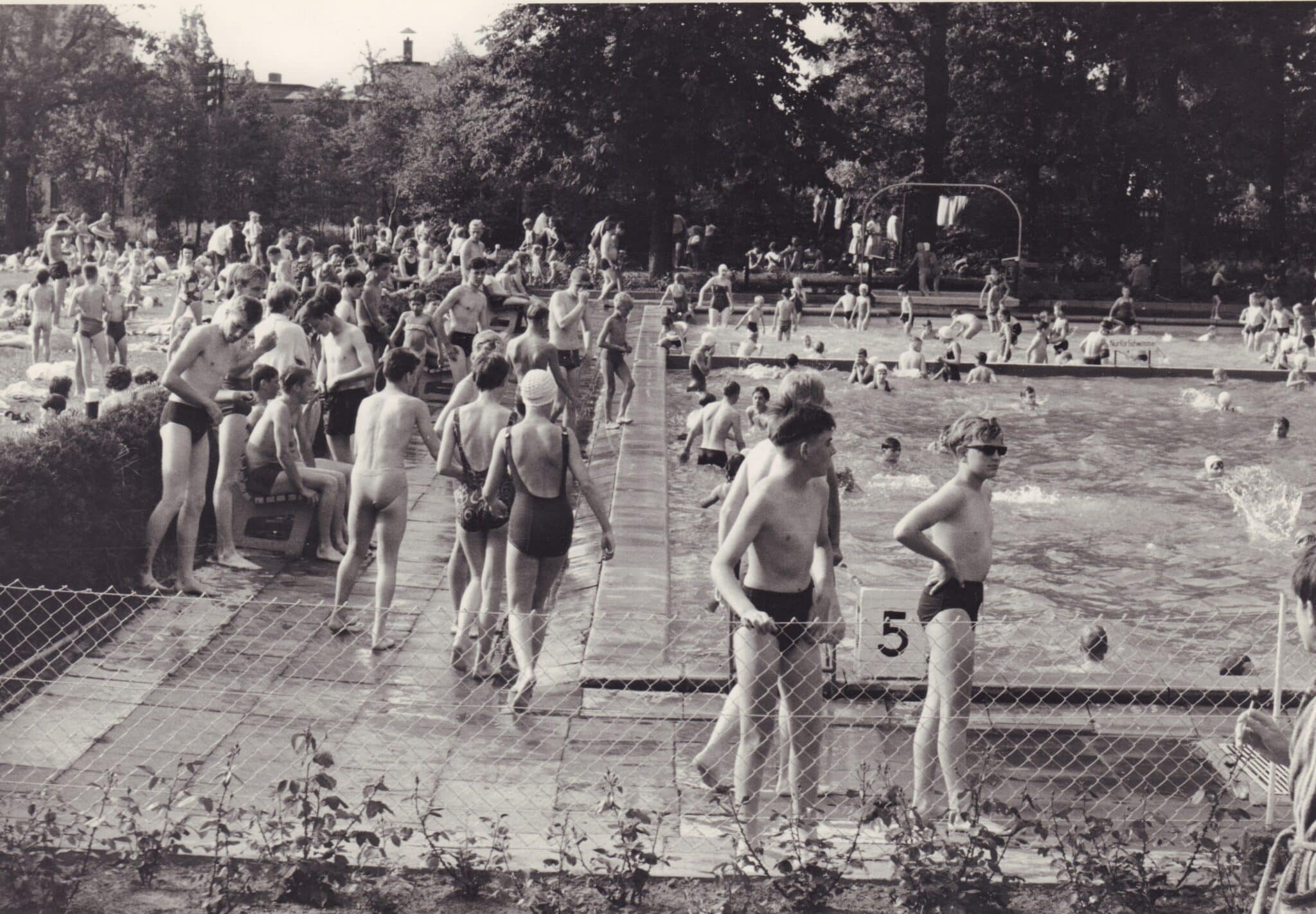 Abb4 BA 32835 Freibad Polizeisportverein Margaretenstr Um 1965 Foto Günter Nordhausen Sommerliches Badevergnügen, um 1965.